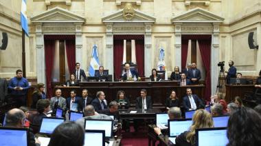 El Senado busca rechazar el veto en Discapacidad y cambiar la ley de DNU