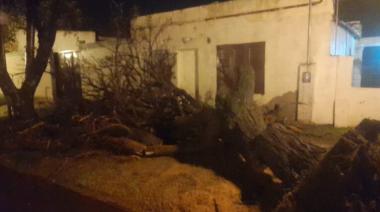 Con fuertes ráfagas, la tormenta generó problemas en Trenque Lauquen
