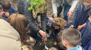 Plantaron especies nativas en la Isla del Parque General San Martín