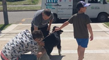 Realizan jornada para promover el cuidado responsable de mascotas