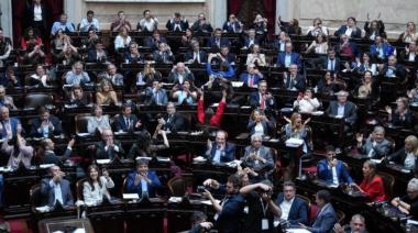 Diputados rechazó los vetos al Garrahan y al financiamiento universitario
