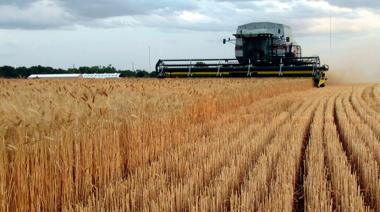 El Banco Mundial prevé baja de commodities y enciende alarmas por La Niña