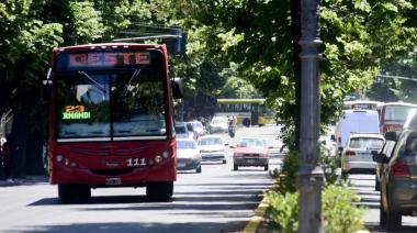 La Provincia dispuso el transporte público gratis para el domingo de elecciones