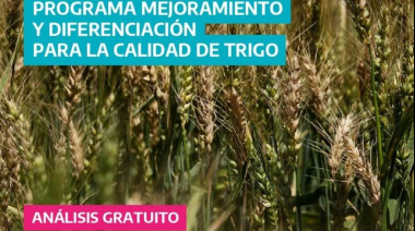 La Provincia de Buenos Aires avanza con el programa para destacar y evaluar la calidad del trigo