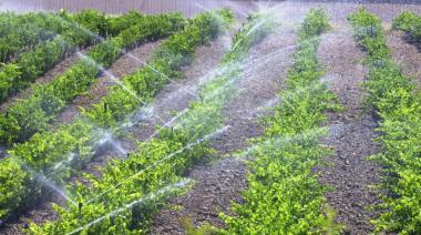 Argentina aumentó en más de 63.000 hectáreas la superficie de riego