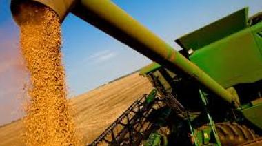 Las liquidaciones del agro se desplomaron en octubre tras las retenciones cero