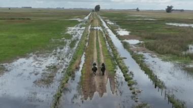 ARBA eximió del Inmobiliario Rural a campos de Casares, 9 de Julio y Trenque Lauquen