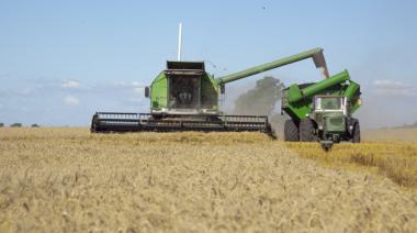 La cosecha de trigo será de 25,5 millones de toneladas por los altos rindes