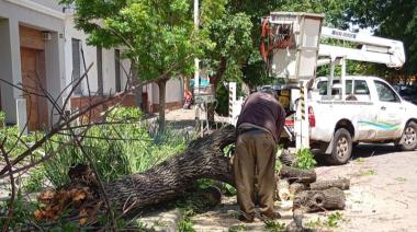 Tras el temporal, siguen las tareas de asistencia y limpieza en Nueve de Julio