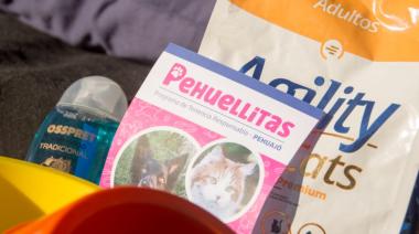 El programa municipal Pehuellitas alcanzó las 12 mil castraciones