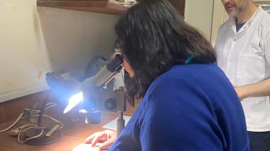 La Dirección de Atención Primaria participó de una capacitación sobre dengue