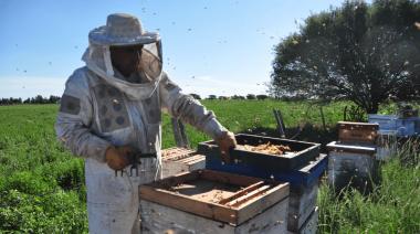 Desarrollan una herramienta biotecnológica para proteger a las abejas