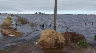 Emergencia Agropecuaria: Nación giró los fondos a Nueve de Julio y Casares