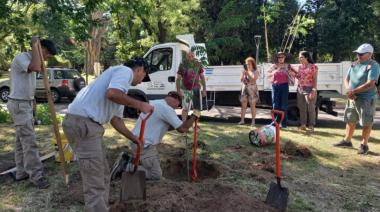 Espacios Verdes avanza con los trabajos de forestación en Trenque Lauquen