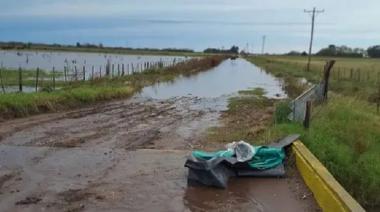 Emergencia agraria: vence el plazo para completar las declaraciones juradas