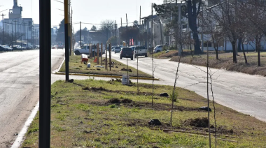 Trenque Lauquen reconocida por su plan de forestación