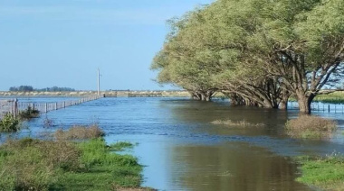 Desde la Sociedad Rural señalan que "la Emergencia Agropecuaria llegó tarde"