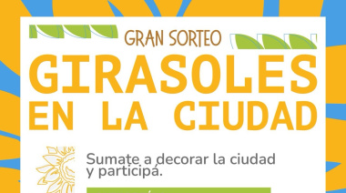 Propuesta casarense: "Girasoles en la Ciudad"