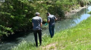 Control del barigüi: el Municipio realiza testeos en puntos estratégicos