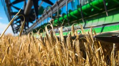 Finalizó la cosecha de cebada con un volumen un poco mayor al esperado