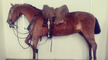 La leyenda del caballo que le ganó al tren volvió a emocionar a Nueve de Julio