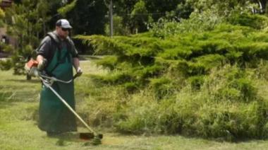 Tras las intensas lluvias, intensifican las acciones contra el barigüi en Bragado