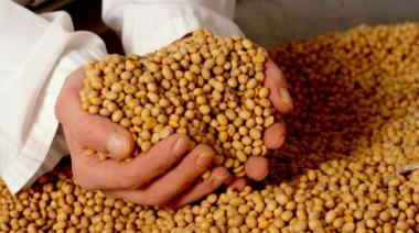 CARBAP rechaza el UPOV 91: “Puede perjudicar a los productores”