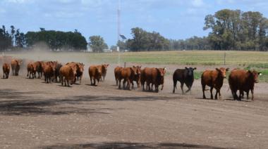 Trazabilidad electrónica: brindan charla informativa en la SR de Nueve de Julio