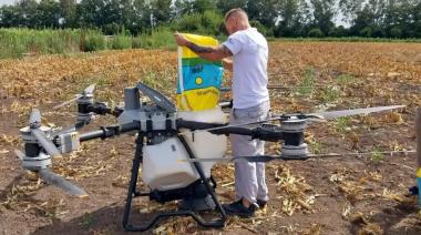 INTA Chascomús innova en la siembra aérea de raigrás con drones de precisión