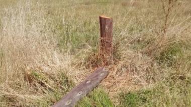 Cortan poste de luz con una motosierra y dejan sin energía al Hipódromo local