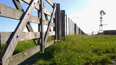 Mercado inmobiliario rural: demanda intensa con una oferta escasa