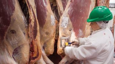 La faena de carne bovina comenzó el año con una caída de casi 12%