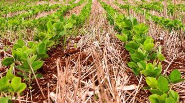 Revelan que enero de 2026 fue el mes más seco de los últimos 60 años