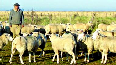 La Provincia creó el Comité de Promoción de la Actividad Ovina