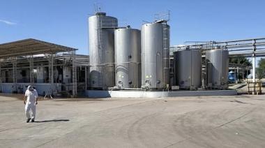 Lincoln: ARSA confirmó su quiebra y golpea a más de 180 familias