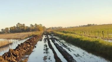 El bloque radical denuncia falta de mantenimiento de los caminos rurales