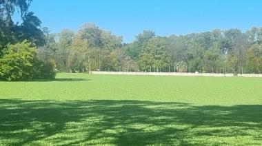 El lago del Parque General San Martín ya está cubierto en un 75% por algas