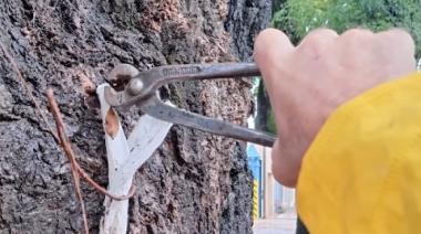 “ClavoGate”: el Municipio aplicará multas por sacar la basura los sábados