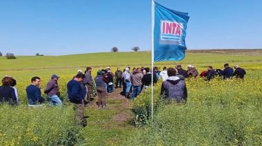 Avanza la “motosierra” en el INTA: cierran 14 agencias de extensión rural