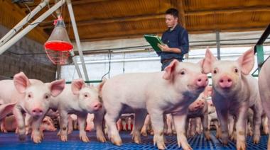 Productores de cerdo se movilizaron por la caída de la rentabilidad