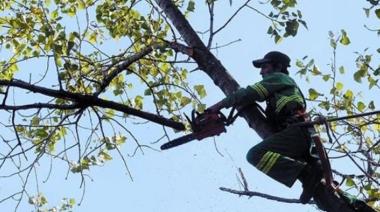 El Municipio difundió el listado de los podadores habilitados