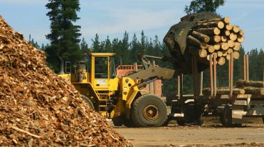 El Gobierno habilitó la importación de maquinaria usada para el sector forestal