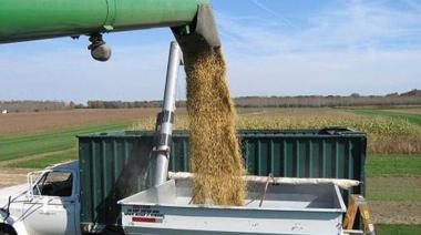 Dólares: la liquidación del agro cayó 11% en el primer cuatrimestre