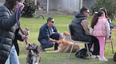 Jornada solidaria por el Día del Animal en el Refugio Municipal
