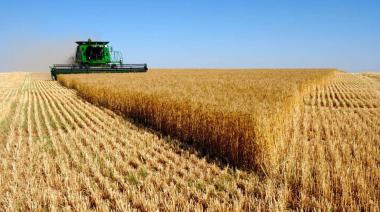 El agro celebra la baja de retenciones, pero advierte sobre especulaciones en la liquidación