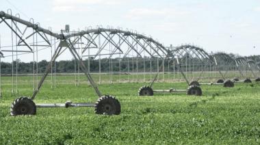 Inversiones agropecuarias: ARCA oficializó los requisitos del RIMI