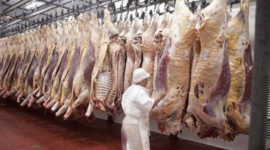 La faena bovina repuntó en mayo, pero sigue muy por debajo de 2025