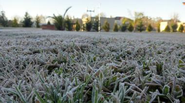 El invierno ya se hace sentir en Nueve de Julio con fuertes heladas