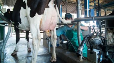 Creció la producción de leche, pero siguen cerrando tambos
