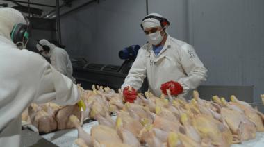 Libre comercio: la avicultura celebra la reapertura del mercado europeo